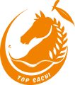top sachi logo